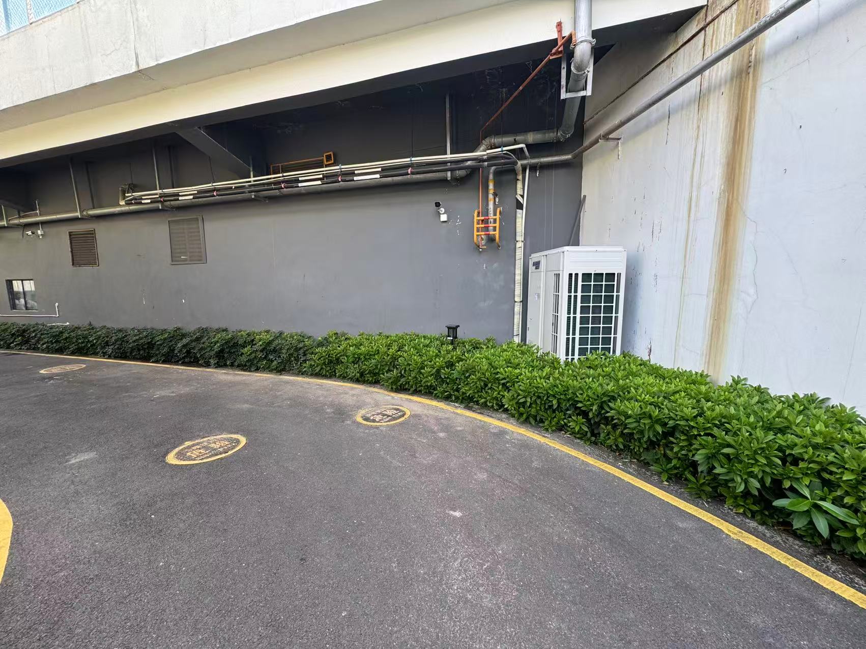 F区1号点位实景图 - 位于F区中部靠近操场